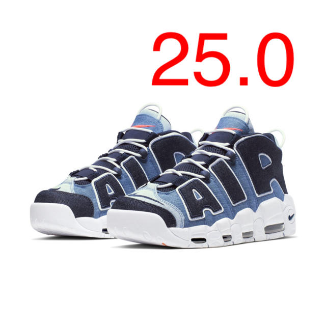 Nike Air More Uptempo '96 QS Men's Shoe