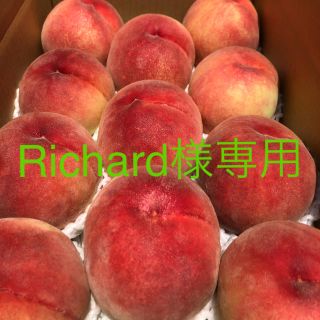 ⭐︎Richard 様専用商品です⭐︎(フルーツ)