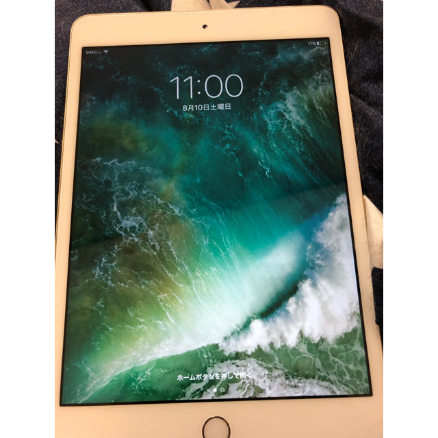 iPad mini3