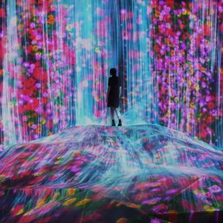チームラボ チケット(遊園地/テーマパーク)