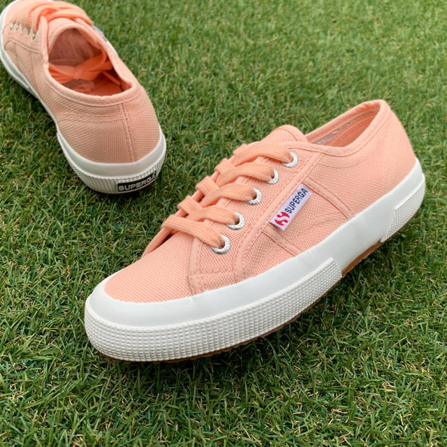 新品36 SUPERGA×GROVE 2750 スペルガ×グローブ W516