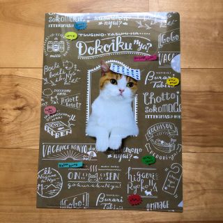 にゃらんクリアーファイル じゃらん ねこ(ノベルティグッズ)
