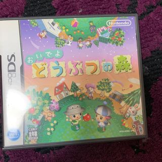 ニンテンドーDS(ニンテンドーDS)のどうぶつの森(携帯用ゲームソフト)