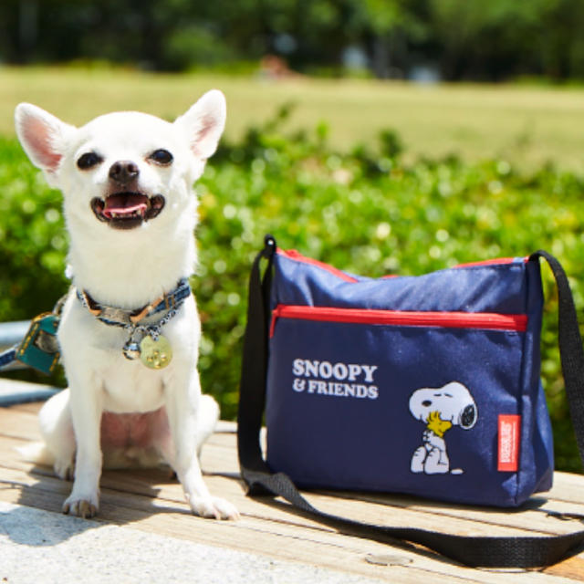 SNOOPY(スヌーピー)のいぬのきもち 付録  スヌーピー お散歩ショルダーバッグ その他のペット用品(犬)の商品写真