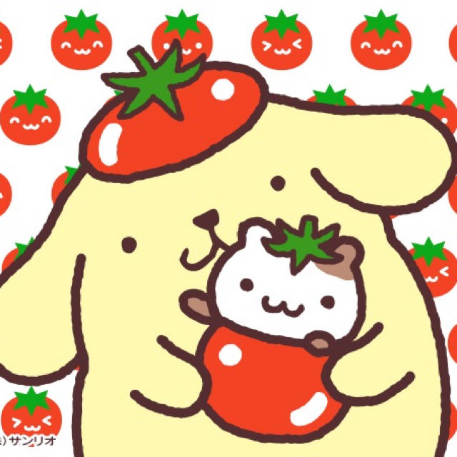 a様 専用出品