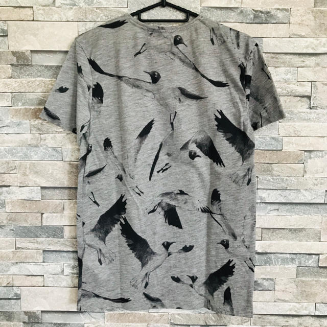ZARA(ザラ)のZARA アーティスティック 鳥 バード Tシャツ メンズのトップス(Tシャツ/カットソー(半袖/袖なし))の商品写真