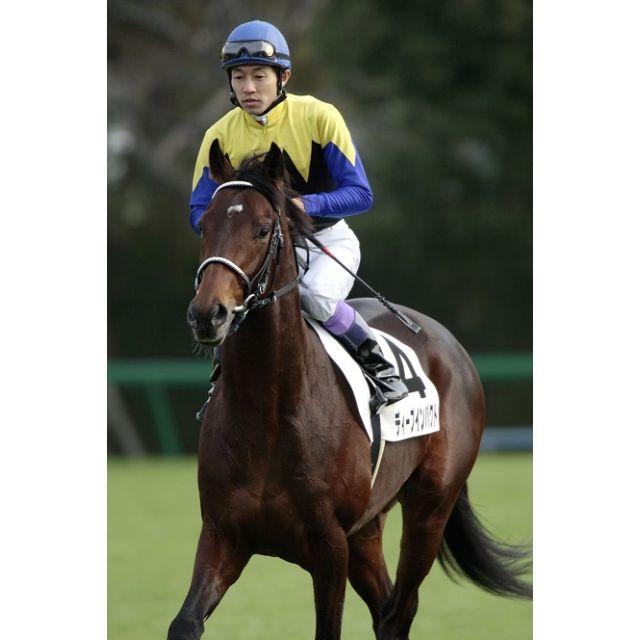 ディープインパクト 新馬戦 生写真 JRA エンタメ/ホビーのコレクション(印刷物)の商品写真