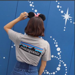 パタゴニア(patagonia)のパタゴニア グレー(Tシャツ/カットソー(半袖/袖なし))