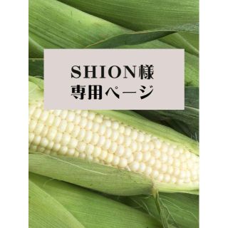 【shion様専用】ピュアホワイトM11本　北海道産(フルーツ)