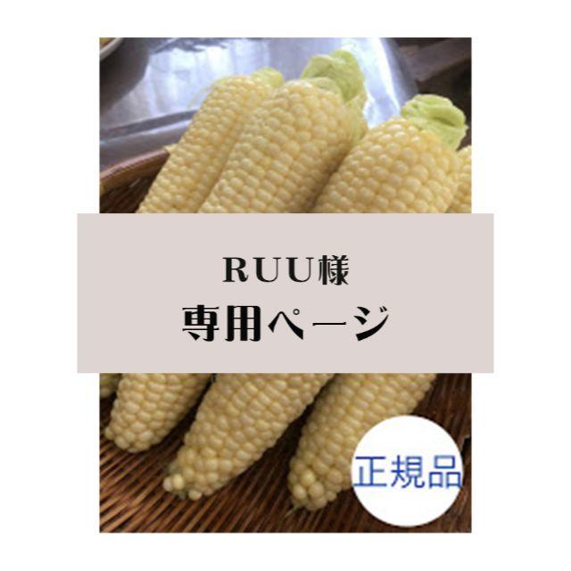 【ruu様専用】とうもろこしピュアホワイト正規品10本　北海道産 食品/飲料/酒の食品(フルーツ)の商品写真