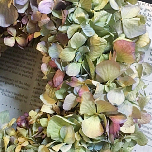 NEW秋色紫陽花のドライリース・ナチュラルミックス ハンドメイドのフラワー/ガーデン(リース)の商品写真