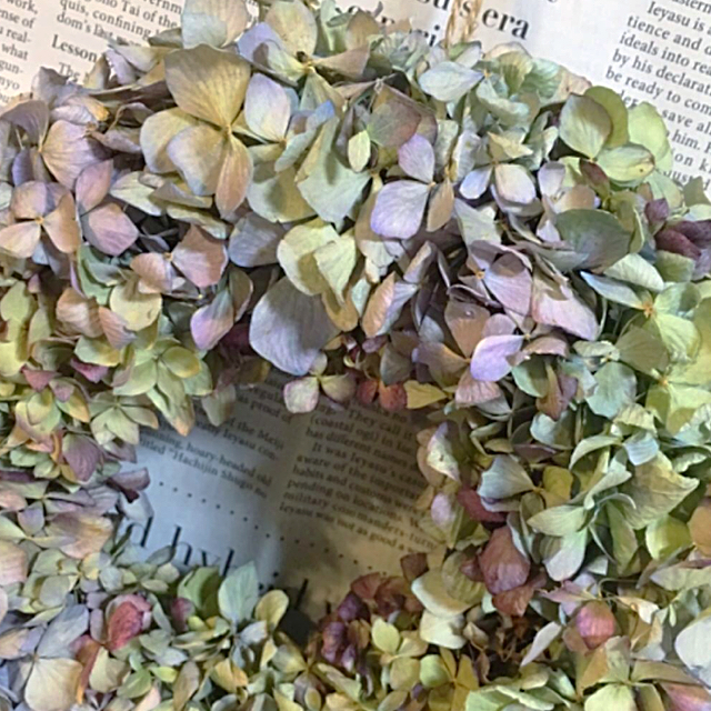 NEW秋色紫陽花のドライリース・ナチュラルミックス ハンドメイドのフラワー/ガーデン(リース)の商品写真