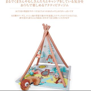 スキップランド(Skip Land)のスキップポップ ジム 美品(ベビージム)