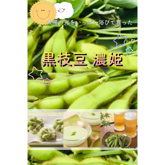 数量限定！  美味しい黒枝豆『濃姫』 800g  無農薬野菜 コンパクトBOX 食品/飲料/酒の食品(野菜)の商品写真