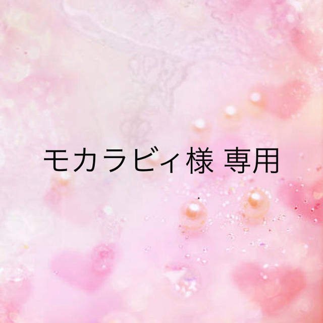 モカラビィ様 専用 その他のその他(その他)の商品写真