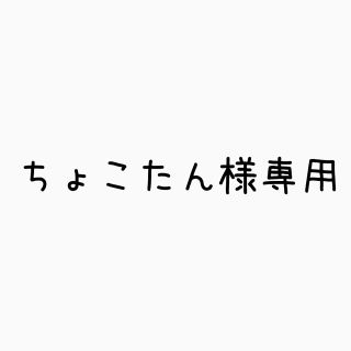 ちょこたん様専用(その他)