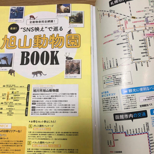 朝日新聞出版(アサヒシンブンシュッパン)の2019 Travel北海道 ハンディ版 エンタメ/ホビーの本(地図/旅行ガイド)の商品写真