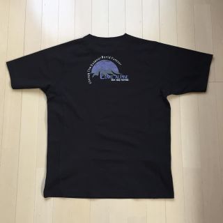 ロウアルパイン(Lowe Alpine)のlowe alpine dry tee size xl(登山用品)