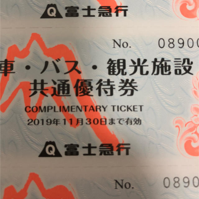 富士急ハイランド  フリーパス チケットの施設利用券(遊園地/テーマパーク)の商品写真