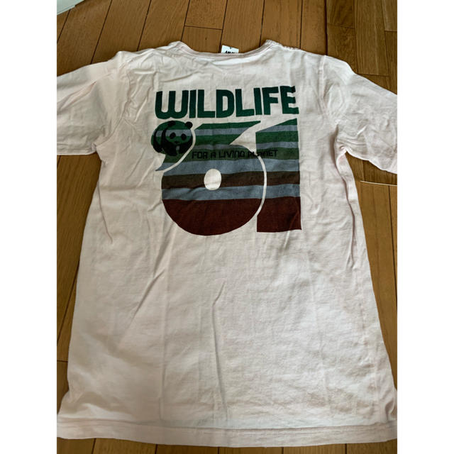 訳あり)WWF(自然保護団体)パンダデザイン 半袖Tシャツ メンズのトップス(Tシャツ/カットソー(半袖/袖なし))の商品写真