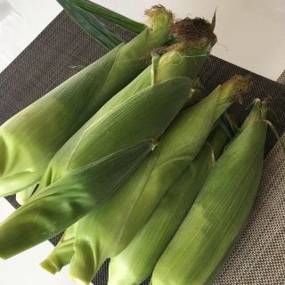 信濃町産 ゴールドラッシュ とうもろこし(野菜)