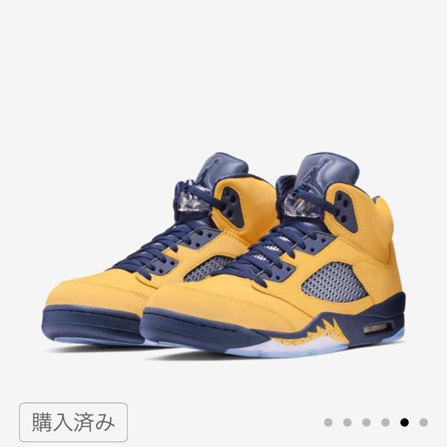 27.5cm Nike air Jordan 5 Michigan