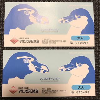 マリンピア日本海 チケット(水族館)