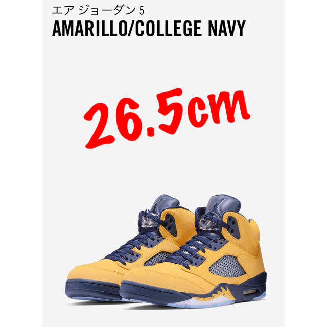 26.5cm NIKE AIR JORDAN 5 RETRO SP　ミシガン