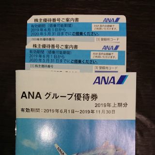 エーエヌエー(ゼンニッポンクウユ)(ANA(全日本空輸))のANA株主優待券　2枚(2020年5月31日まで)(その他)