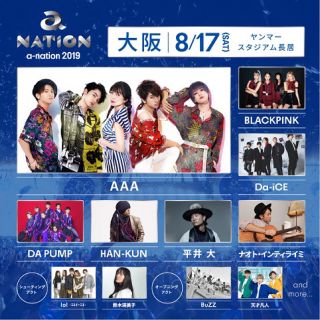 a-nation 2019 8/17 チケット(音楽フェス)