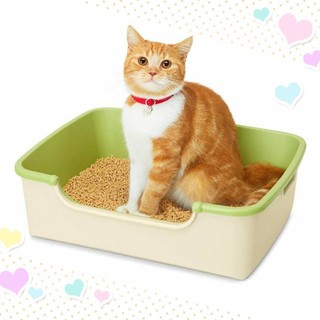 清潔トイレ 成猫用スタートセット アイボリー&グリーン [猫用トイレ本体]

(猫)
