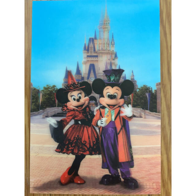 Disney(ディズニー)のみきゃん⊿ 様専用♡ディズニー  ポストカード エンタメ/ホビーの声優グッズ(写真/ポストカード)の商品写真