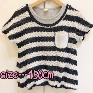 バックリボン ニットストライプ 150cm 女の子 ジュニア NO-76(Tシャツ/カットソー)