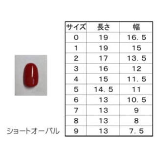 ネイルチップ NO.33 コスメ/美容のネイル(つけ爪/ネイルチップ)の商品写真