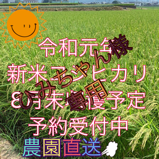 ひみちゃん様  専用 令和元年度新米コシヒカリ30kg  (米/穀物)