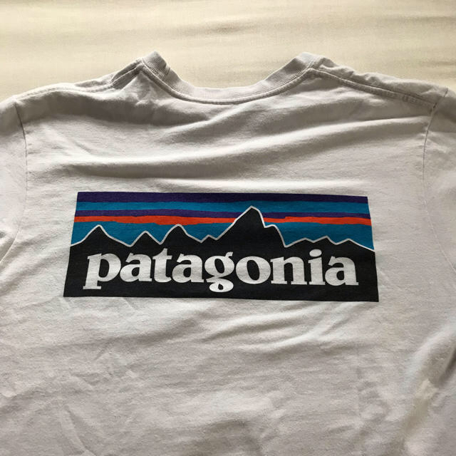 patagonia(パタゴニア)のZAMIANG4様専用　パタゴニア☆胸ポケ Tシャツ メンズのトップス(Tシャツ/カットソー(半袖/袖なし))の商品写真
