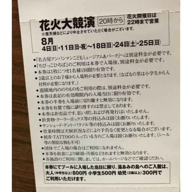 ナガシマスパーランド 大人3枚