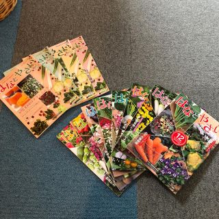 タキイ 家庭園芸雑誌2016年12冊(その他)