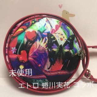 エトロ(ETRO)の送料無料  未使用 エトロ ＆蜷川実花さん コラボ  ショルダーバック専用(ショルダーバッグ)