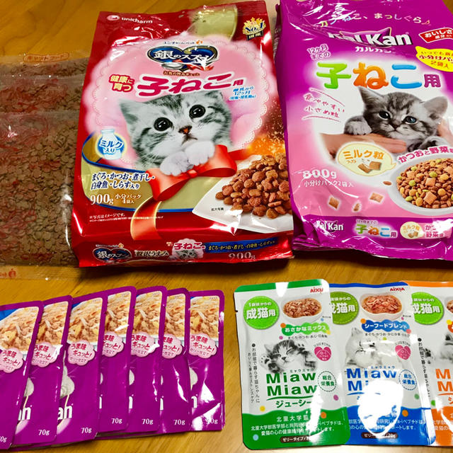 キャッフード ドライ&ウエット 計15点 その他のペット用品(ペットフード)の商品写真