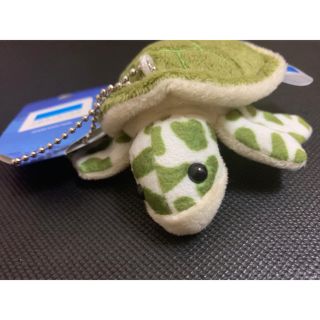 美ら海水族館 ウミガメ キーホルダー ぬいぐるみ(キーホルダー)