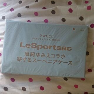 レスポートサック(LeSportsac)のレスポートサック スーベニアケース(その他)