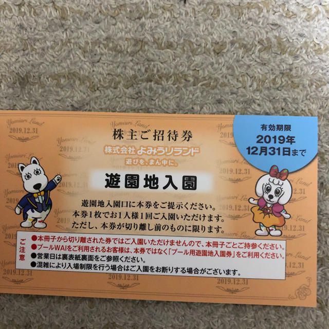 よみうりランド 遊園地入園・プールWAI入場