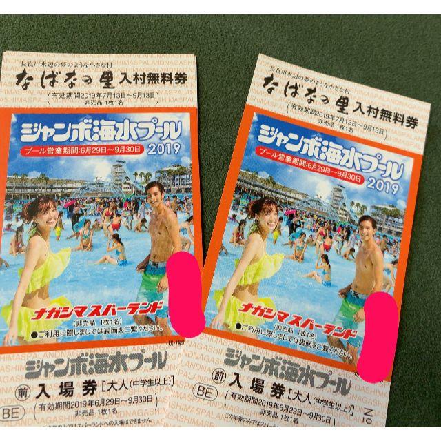 長島ジャンボ海水プール  大人2枚 送料込 最短発送