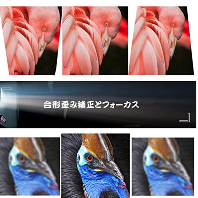 プロジェクター | cajabatres.com.sv