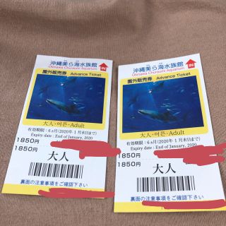 美ら海水族館チケット(水族館)