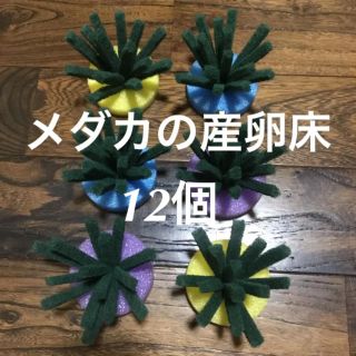 メダカ めだか 産卵床  12個セット(アクアリウム)