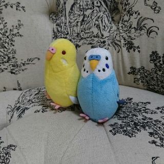 今だけ価格❗❗インコセット💗(その他)