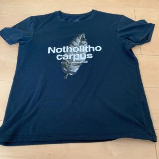 ザノースフェイス(THE NORTH FACE)のTHE NORTH FACE Tシャツ (Tシャツ/カットソー(半袖/袖なし))