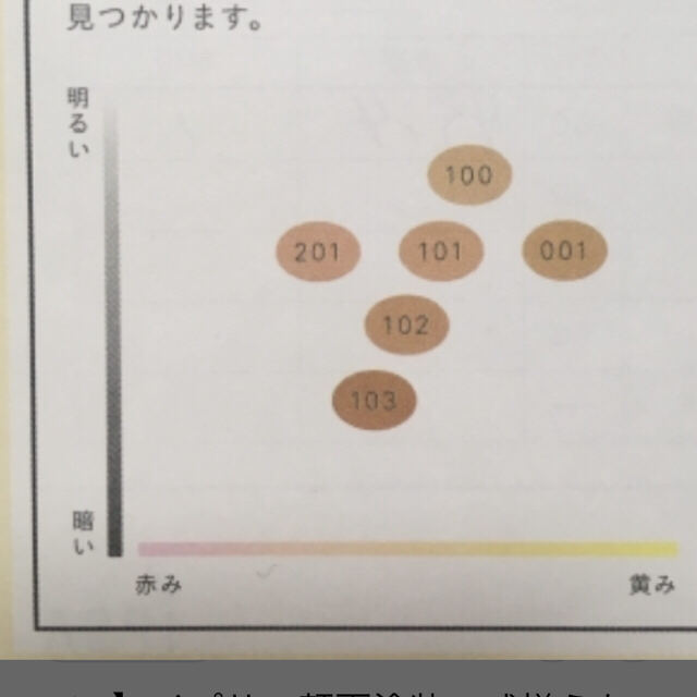 イプサ ファウンデイシヨン アルティメイト 201